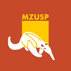 MZUSP